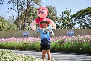 BIB: 
                            <button type="button" onclick="openModal(27803901)" class="btn btn-primary btn-sm float-right btn-popup" data-toggle="modal" data-target=".modal-high-quality">
                        <i class="fas fa-shopping-cart"></i> Add to Cart
                    </button>
                                            <button type="button" onclick="isThisMe(27803901, true)" class="btn btn-success btn-sm float-right btn-popup btn-isme hidden" data-toggle="tooltip" data-placement="bottom" title="นี่คือรูปของคุณใช่ไหม คลิกที่นี่เพื่อเอาเข้าอัลบั้ม">
                        <i class="fas fa-plus"></i> Add to album
                    </button>
                    <button type="button" onclick="isThisMe(27803901, false)" class="btn btn-warning btn-sm float-right btn-popup btn-isnotme hidden">
                        <i class="fas fa-ban"></i> Remove from album
                    </button>